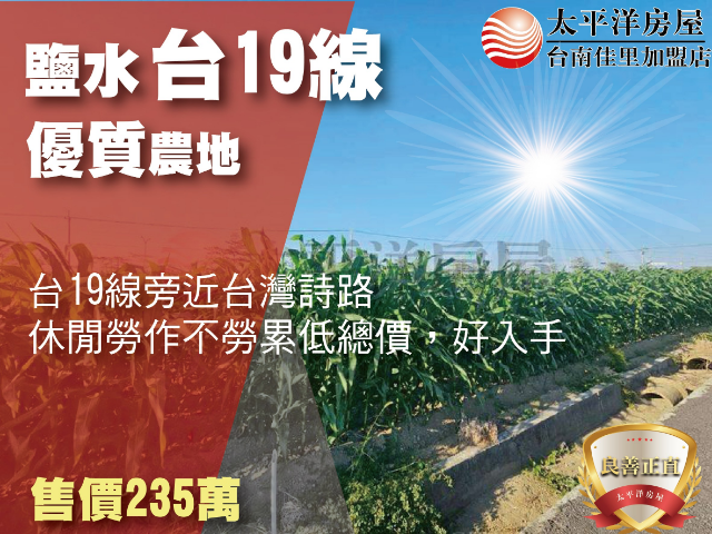 鹽水台19線旁小農地,台南市鹽水區天保厝段