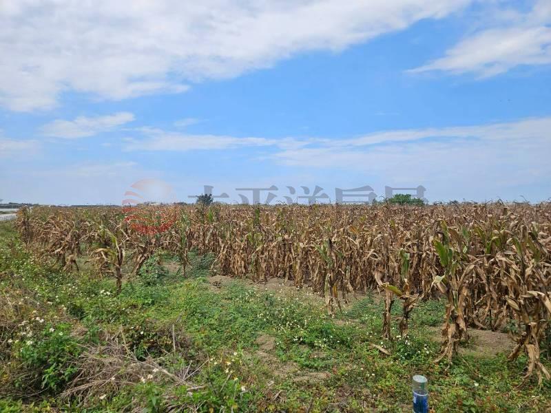 鹽水低總價農地,台南市鹽水區舊營段