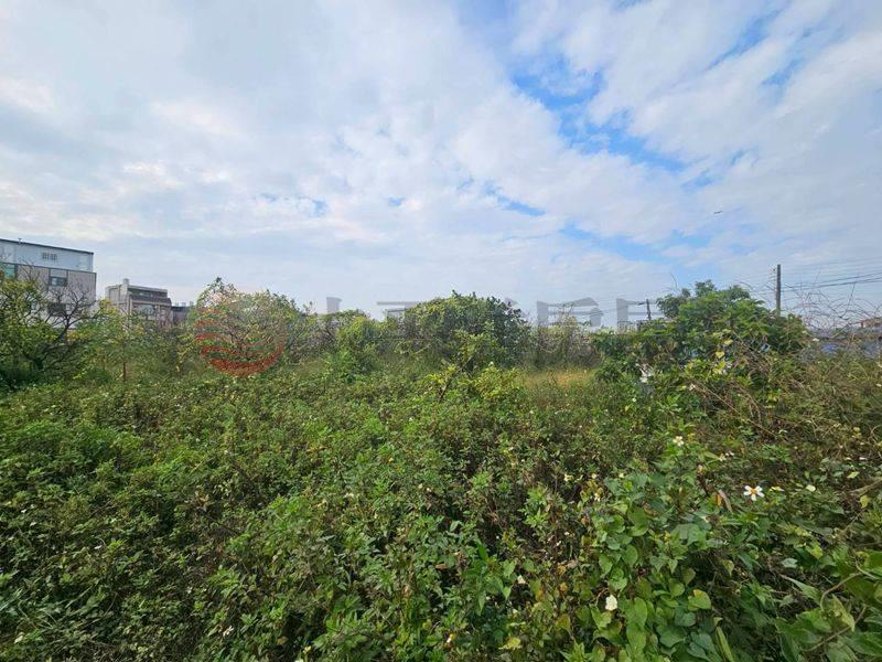 近新營太子宮農地+建地,台南市新營區太子段