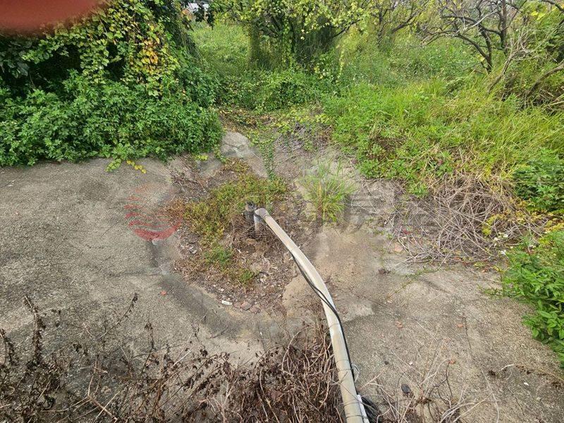 近新營太子宮農地+建地,台南市新營區太子段