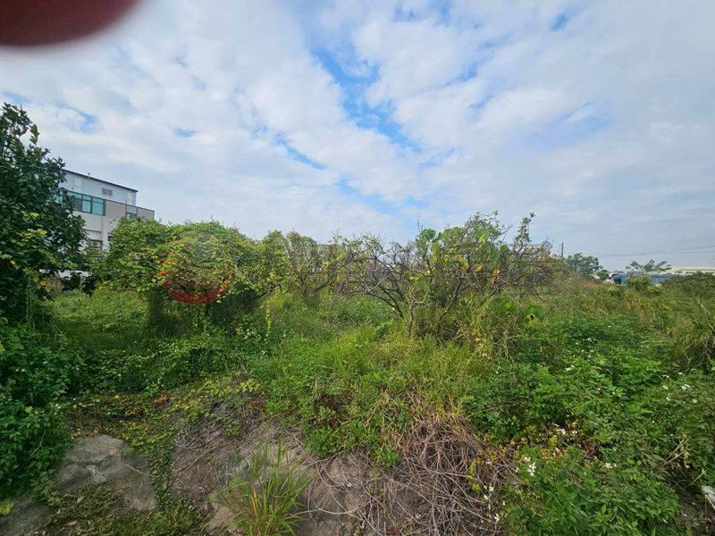 近新營太子宮農地+建地,台南市新營區太子段