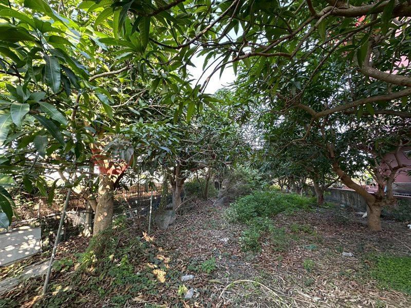 長榮段超便宜大路邊美建地,台南市將軍區長榮段