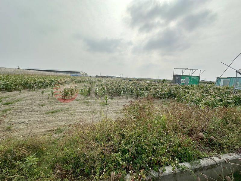 將軍近西濱公路美農地,台南市將軍區漚汪段