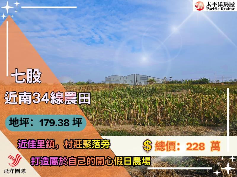 七股近南34線農田,台南市七股區看坪段