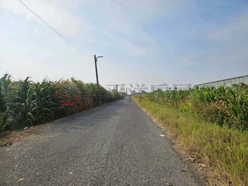 七股近南34線農田,台南市七股區看坪段