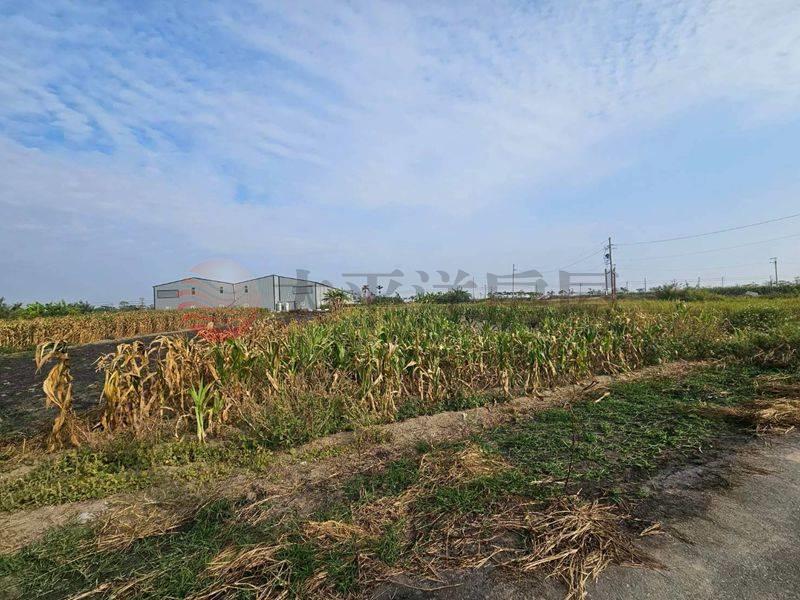 七股近南34線農田,台南市七股區看坪段