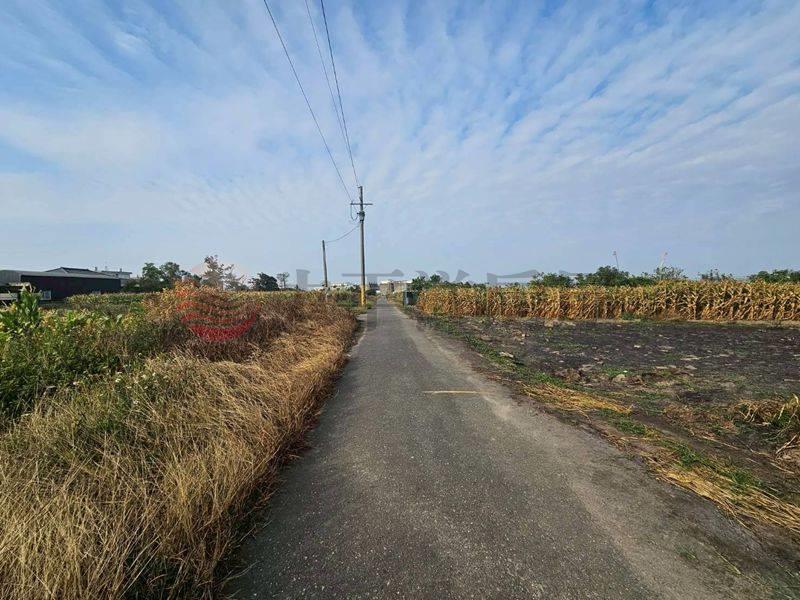 七股近南34線農田,台南市七股區看坪段