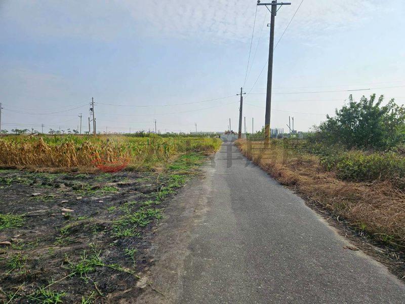 七股近南34線農田,台南市七股區看坪段