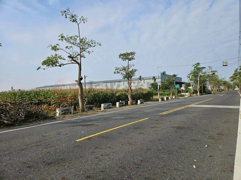 七股近南34線農田,台南市七股區看坪段