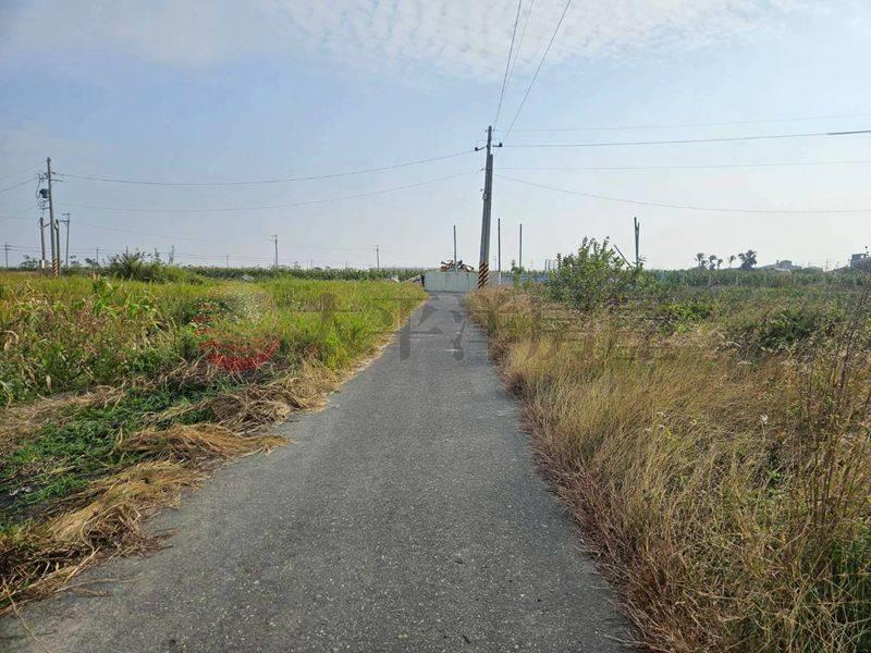 七股看坪小農田,台南市七股區看坪段