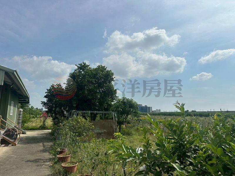 善化東勢寮休閒農地,台南市善化區東勢寮段