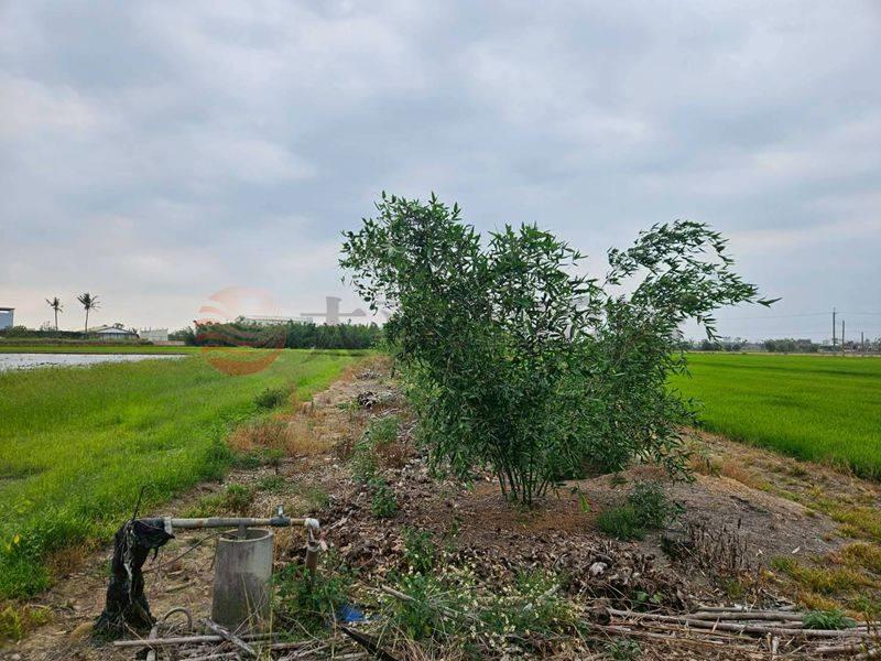 白河近大竹國小農地,台南市白河區海豐厝段