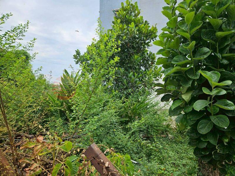 下營7米面寬建地,台南市下營區仁里段